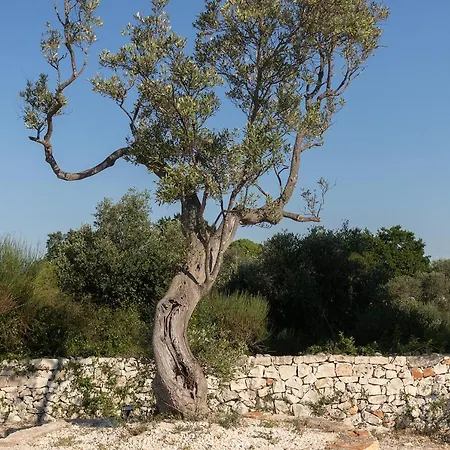 Villa Trullo Carsico By Itriahomes *